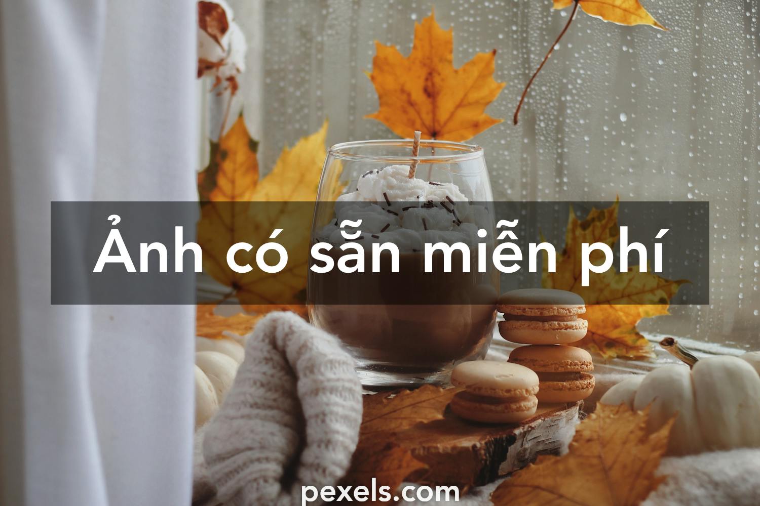 Bạn có thể tải xuống miễn phí hình nền đẹp 2K ở đâu?